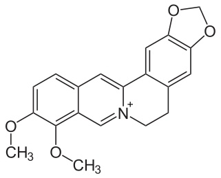 Berberina, un gran fármaco natural